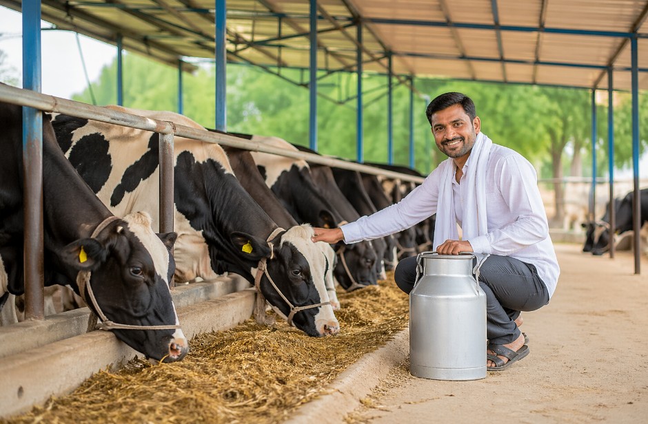 Dairy Farming for Beginners: Complete Startup Guide