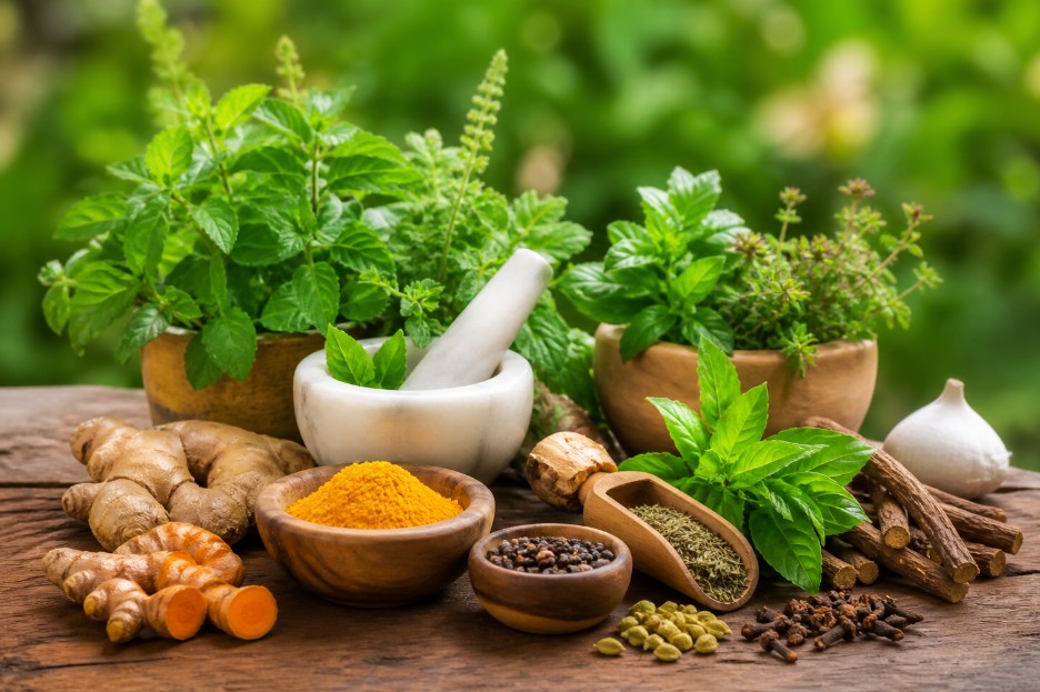 Most Effective Medicinal Herbs for Daily Health